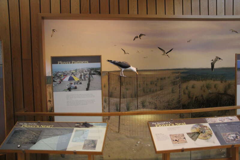 assateague island educational center