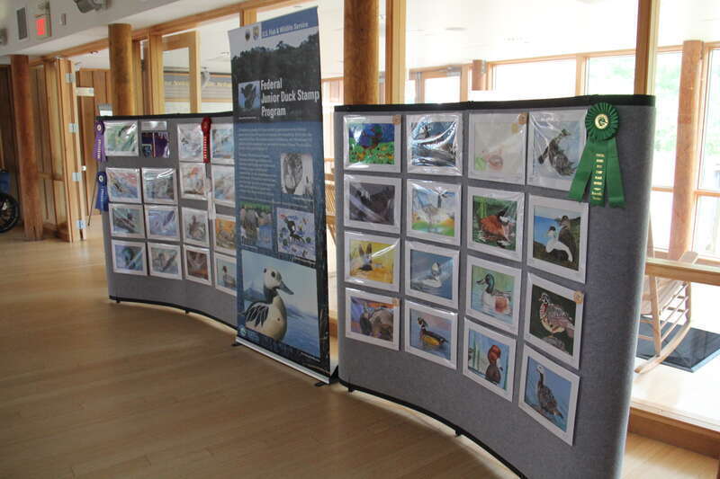 assateague island educational center