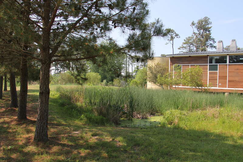 assateague island educational center