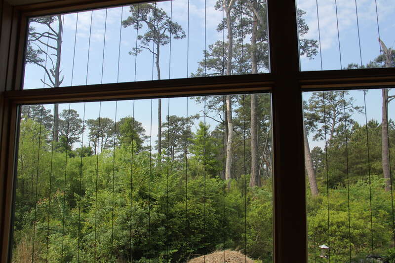 assateague island educational center