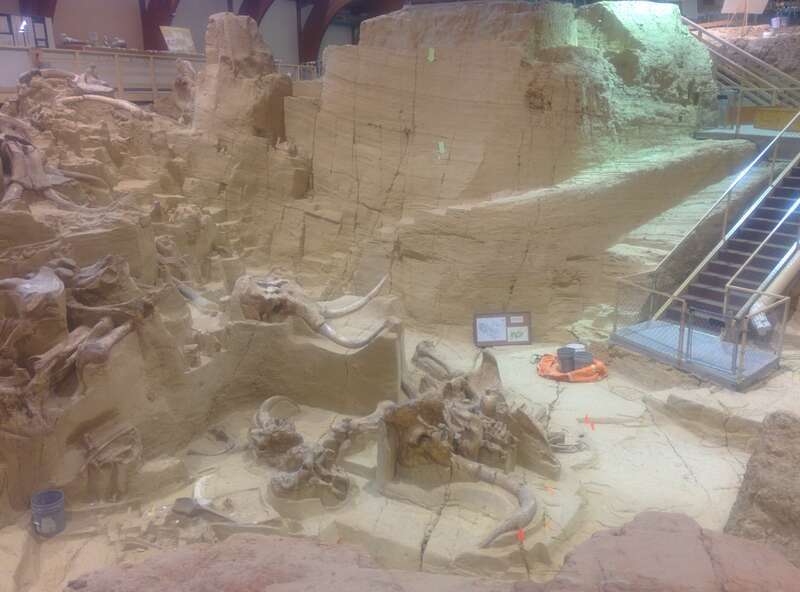 Bones at Mammoth Site, Hot Springs, SD