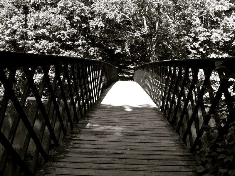 A bridge across the Mill River in East Rock Park in New Haven, CT