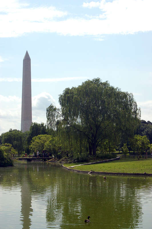 Constitution Gardens Pond