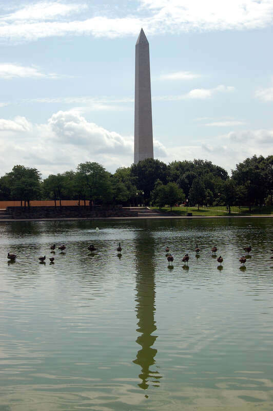 Constitution Gardens Pond