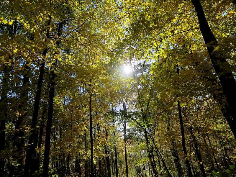 Devils Lake State Park
