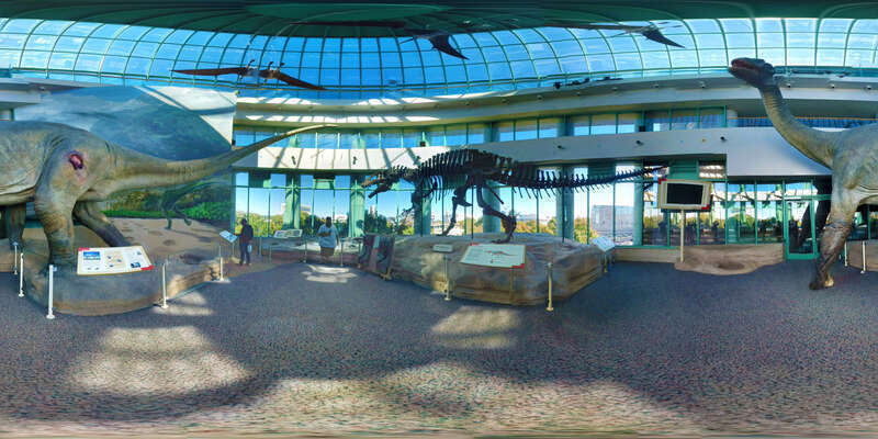 360 panoramic view of the display of dinosaurs at the North Carolina Museum of Natural Sciences, Raleigh.