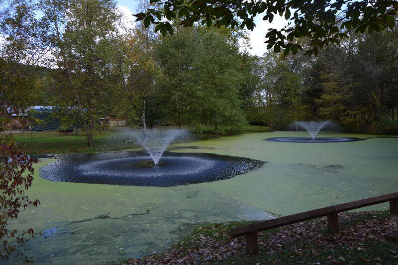Fountains interrupt an otherwise-constant covering of duckweed on a pond at the Drake Well Museum near Titusville in Cherrytree Township, Venango County, Pennsylvania, United States.