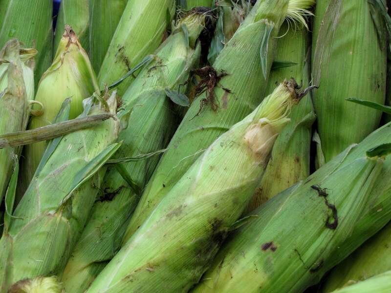 Fruits and vegetables for sale on August 5, 2012 at Eastern Market in Washington DC.
More at The Schumin Web:
&amp;lt;a href=&quot;https://www.schuminweb.com/photography/fruit-stands/&quot; rel=&quot;noreferrer