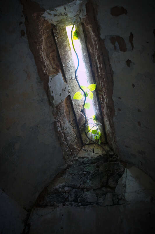 500px provided description: Eastern State Penitentiary, Philadelphia, Pa. [#landscape ,#philadelphia ,#jail ,#pa ,#penitentiary ,#eastern state]