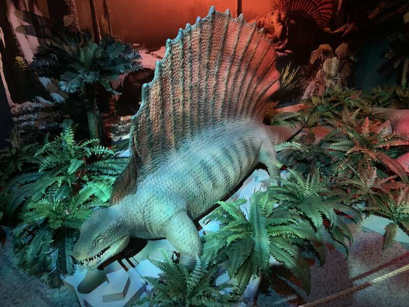 Edaphosaurus reconstruction at the &quot;Permian Monsters&quot; special exhibit at the North Carolina Museum of Natural Sciences