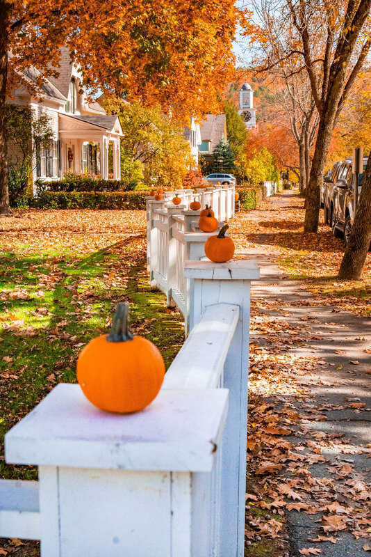 Contact for licensing anthony@anthonyquintano.com