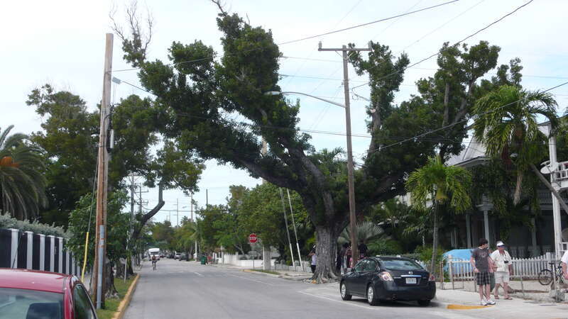 Key West, near southernmost point buoy