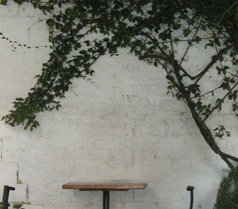 The Linnaea's courtyard.  This morning was all about the double tall latte and the breakfast burrito. If that ain't happiness and a proper way to start a Friday morning, then I don't know what is.