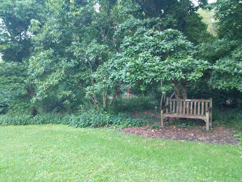 In loving memory of
Erik Lohr
September 16, 1976 – February 16, 2002