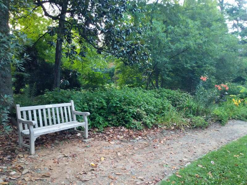 In Honor of
Pauline Marion Worthy
February 20, 1900 - May 17, 1998
Teacher Writer Historian Adventurer Grandmother