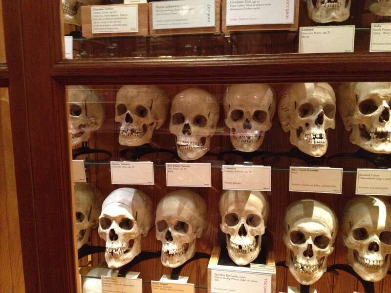 Mütter Museum.