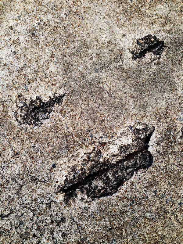 Copyrights by Walter Willimann aka Mimizane
Chattanooga, Charleston, Kansas City