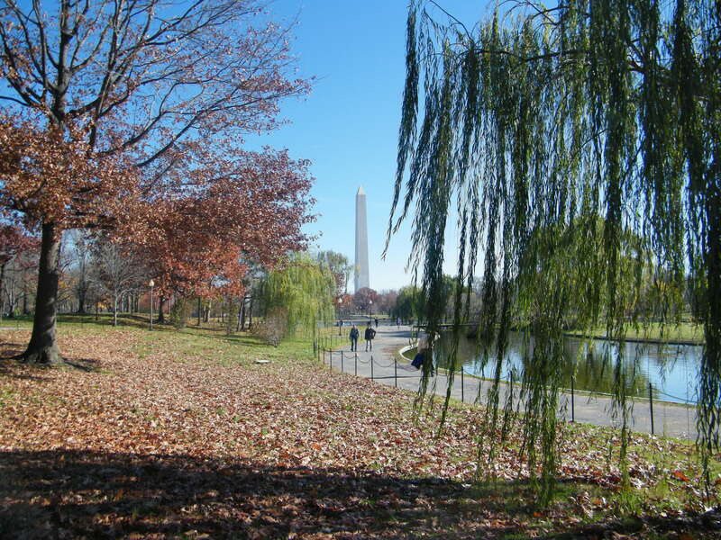 A view of the Washington Monument in November.