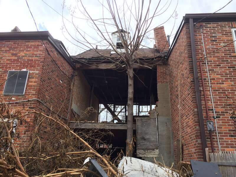 Photograph by Eli Pousson, 2017 January 28.