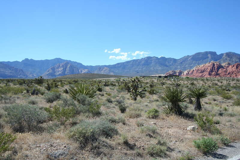 View of the RRCNC Visitor Center designed by architect Line and Space