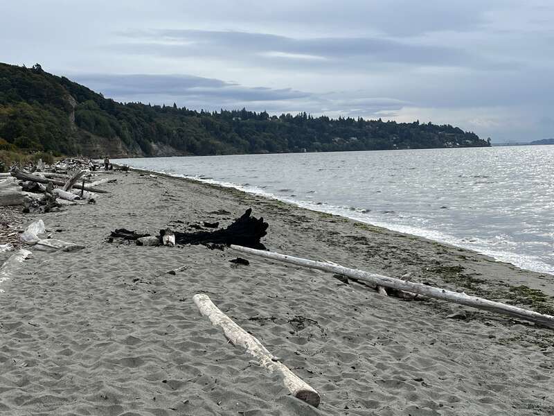 Seattle - Washington, September 2023