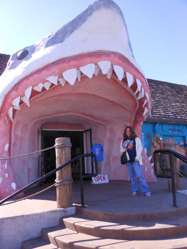 Sharky's and me