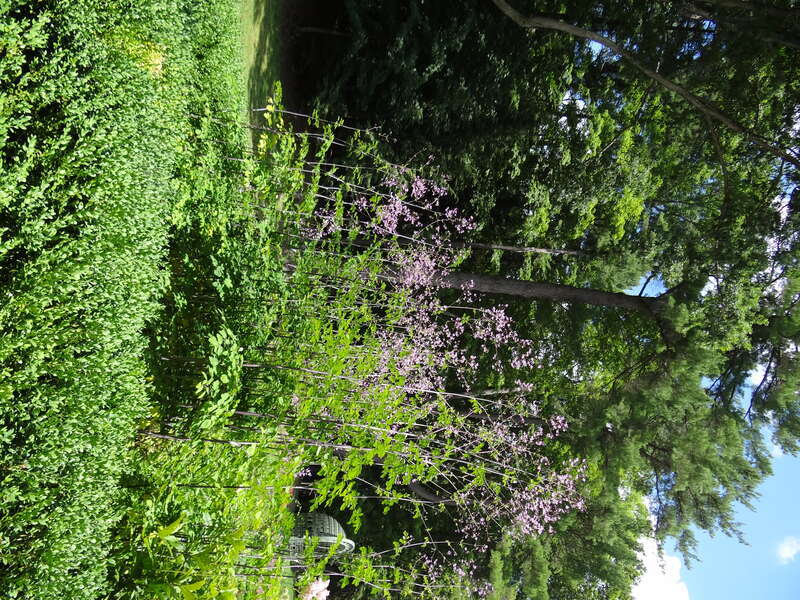 The Mount - Lennox MA