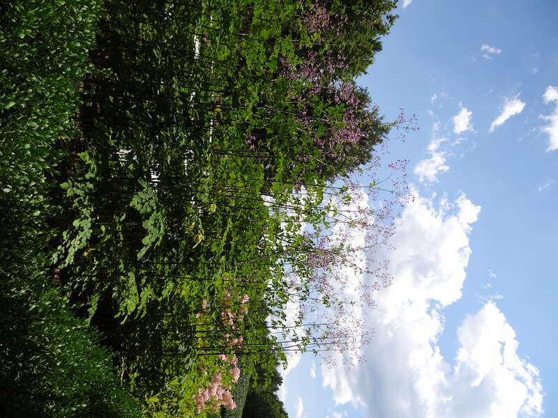 The Mount - Lennox MA