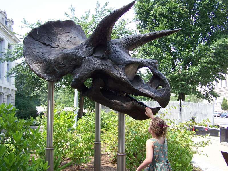 Outside the Smithsonian Museum of Natural History