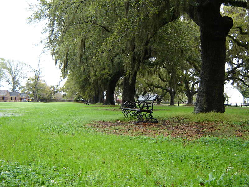 Bench Boone Hall Plantation Mt Pleasant SC