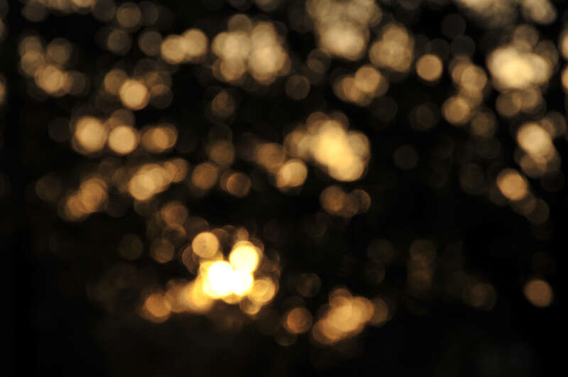 done this by out of focus. learned it from LaForet

SOOC. Just resized