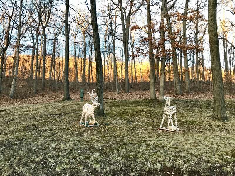 Hubbard Park Festival of Silver Lights 20181229 Deer