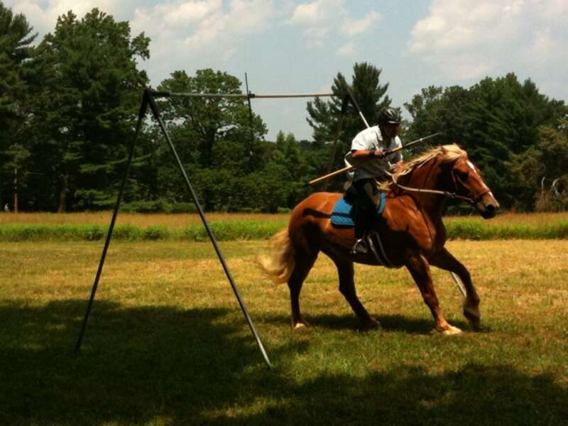 Hampton Mansion, its outbuildings, and grounds are national historic site located just north of Towson. The offical state sport of Maryland is jousting, and annual Hampton hosts a competition. Today's jousting does not require the knocking of an
