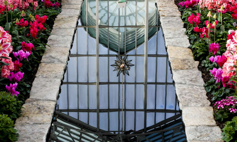 Reflection in the water