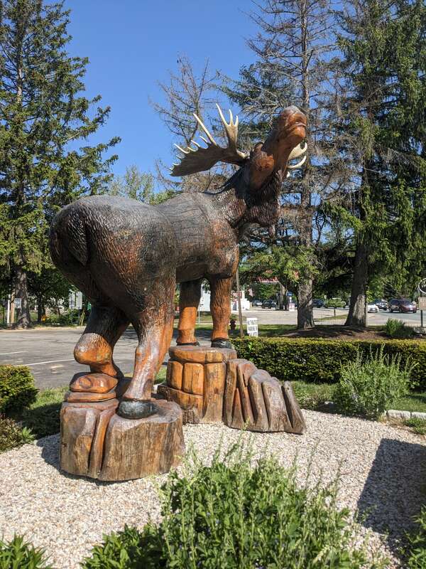 Carved wooden moose sculpture on lawn of Eastern Slope Inn Resort at 2760 White Mountain Highway (U.S. Route 302) in North Conway, New Hampshire.