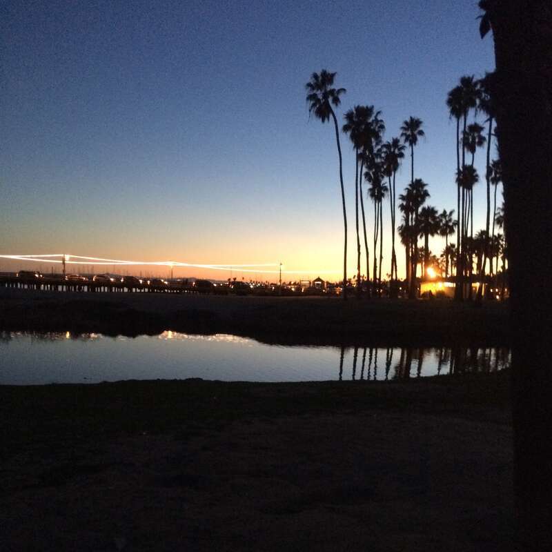 A picture of the ocean in Santa Monica at sunset, with palm trees in the distance.