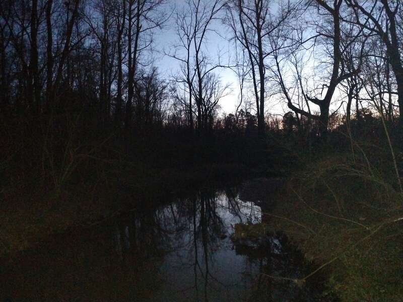 A short trail leads to a section of stream that is in the process of being restored.

IMG_20200202_181243035