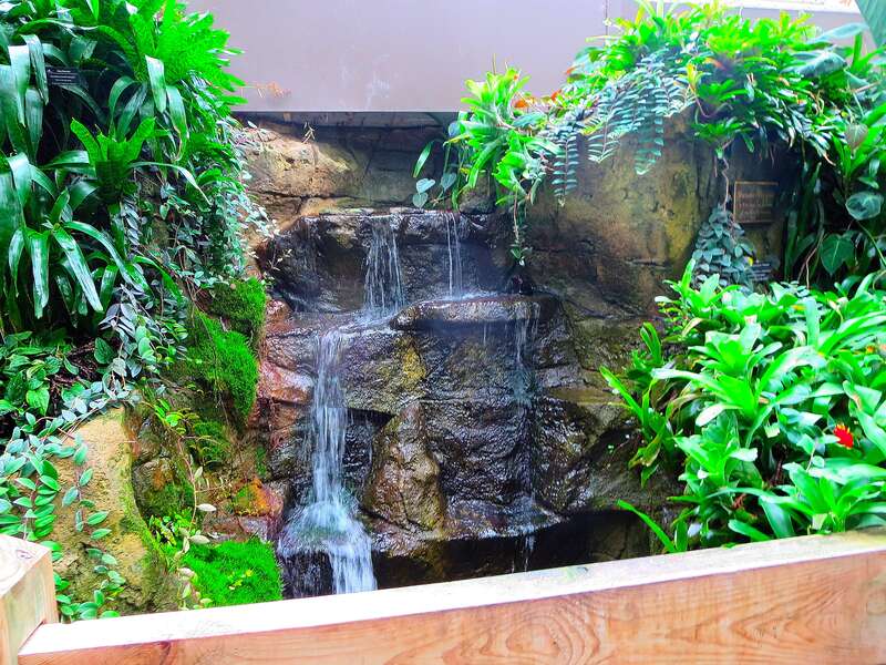 Waterfall in Bolz Conservatory