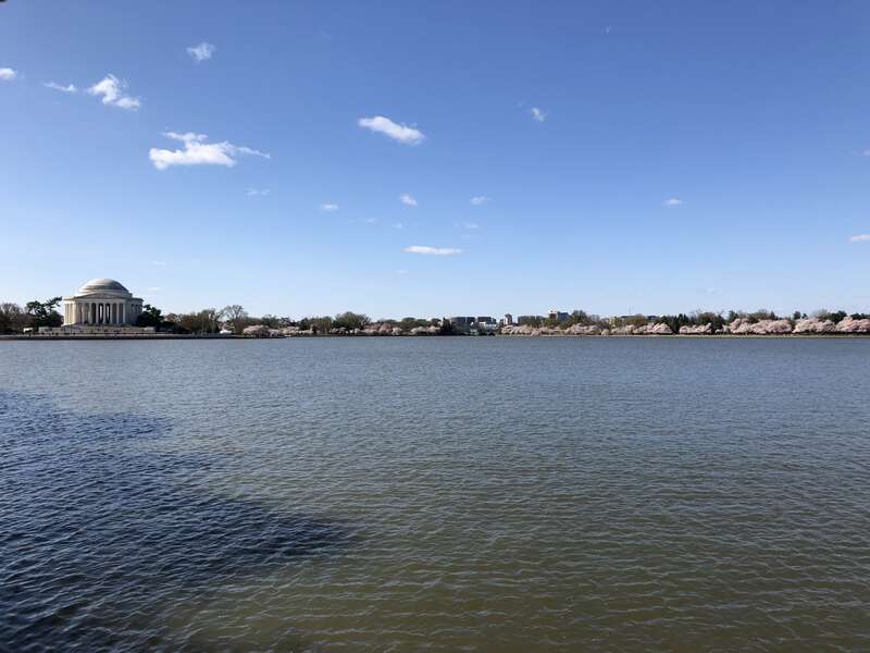 View south-southwest toward the Jefferson Memorial from the northeast shore of the Tidal Basin while the Yoshino Cherries are blooming during the 2018 Cherry Blossom Festival in Washington, D.C.