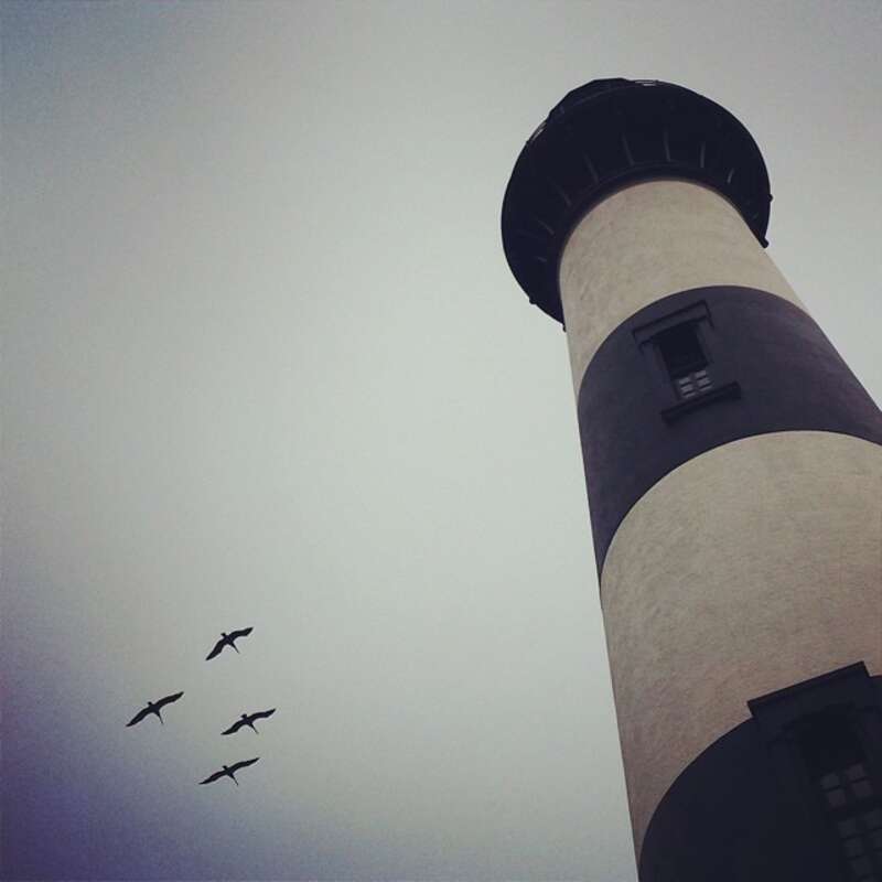 A few feathered visitors soared past Bodie Island Lighthouse during this past Saturday's rainy morning. #BrownPelicans #BodieIslandLightStation #FeatheredFriends #RainyDay