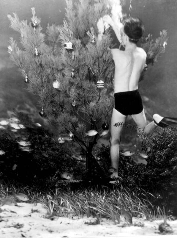 Local call number: c006956
Title: Bud Bassette Decorating Underwater Christmas Tree
Personal Author: Whitley, Joe.
Date: December 11, 1948
Physical descrip: 1 photoprint: b&amp;amp;w; 5 x 4 in.
Series Title: Department of Commerce Collection
Repository: