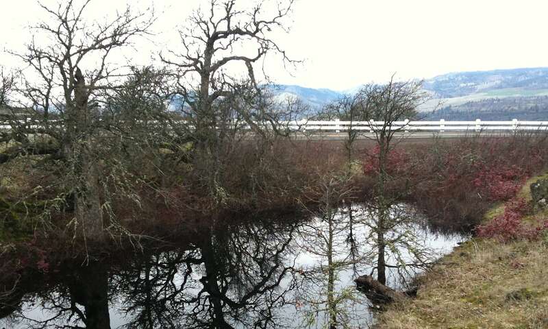 Winter view of a vernal pool adjacent to the Columbia River Highway atop the Rowena Plateau, near Mosier, Oregon, United States. 
The distant hills are across the Columbia River in Klickitat County, Washington.
