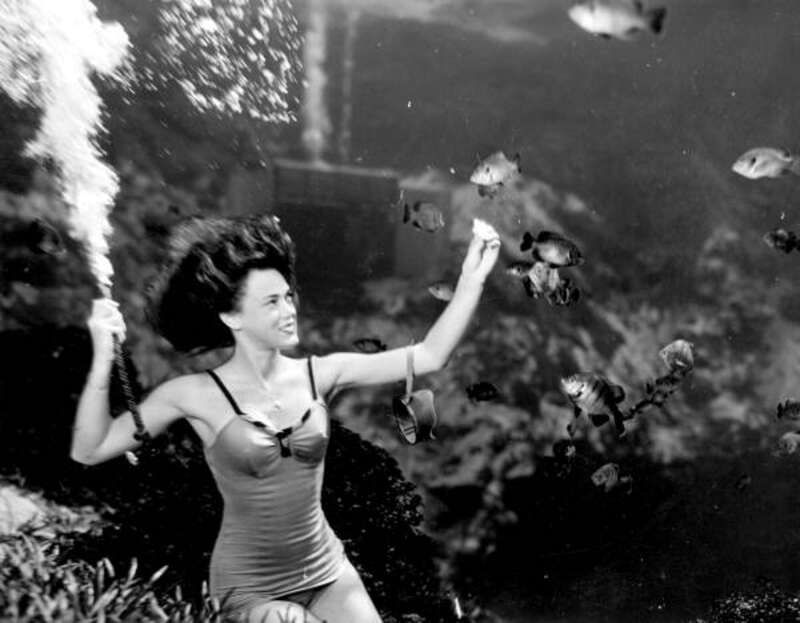 Local call number: c007322
Title: [Frances Dwight feeding the fish as a part of the underwater show at Weeki Wachee Springs]
Date: Photographed on December 14, 1948.
Physical descrip: 1 photoprint : b&amp;amp;w ; 4 x 5 in.
Series Title: (Commerce