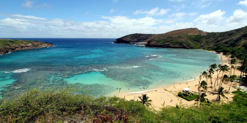 Outside Honolulu, Hawai'i

Did you know :  Hanauma Bay believed to be 35,000 years old, the bay itself is actually the floor of a volcanic crater that opened up to the ocean when its exterior wall collapsed