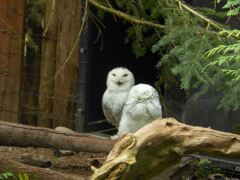 Pierce County, WA, USA