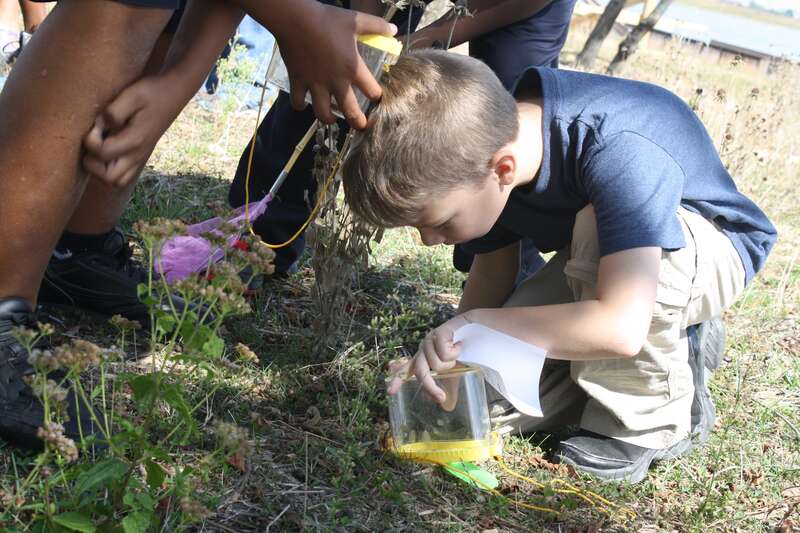 Students at Curtis Bay Elementary School participate in environmental education programs at Masonville Cove led by the Living Classrooms Foundation.