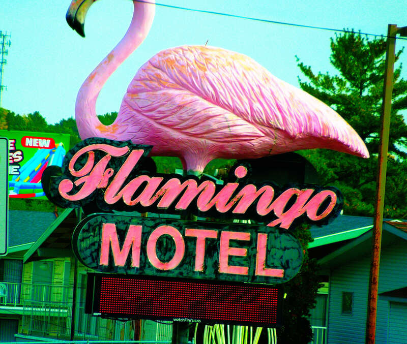 The World's Largest Pink Flamingo