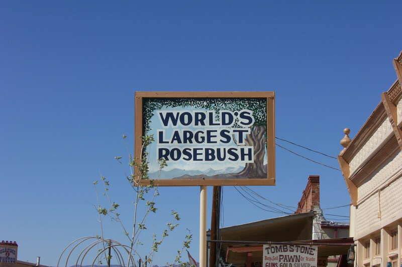 Yep, that's what it says.