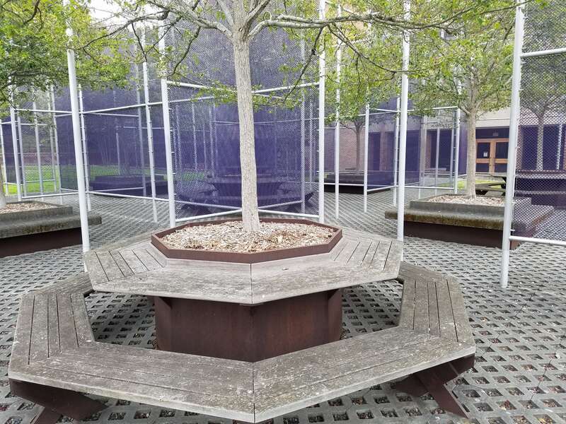 Interior image of the Nine Spaces Nine Trees art installation facing northeast, taken 08/22/2021