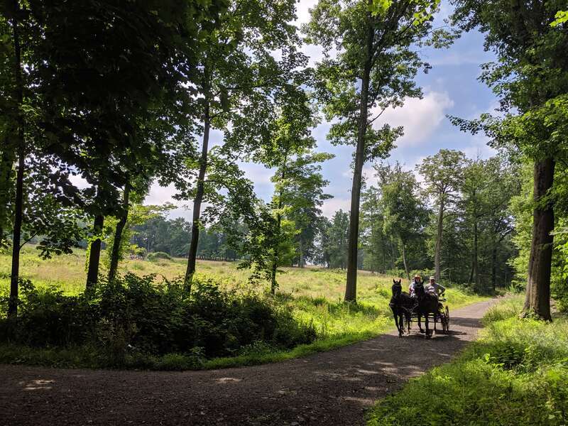 Taken on a Google Pixel 2
ƒ/1.8
1/3906
4.442mm
ISO42

Taken around 41.097864, -73.855986 near the Old Croton Aqueduct State Historic Park